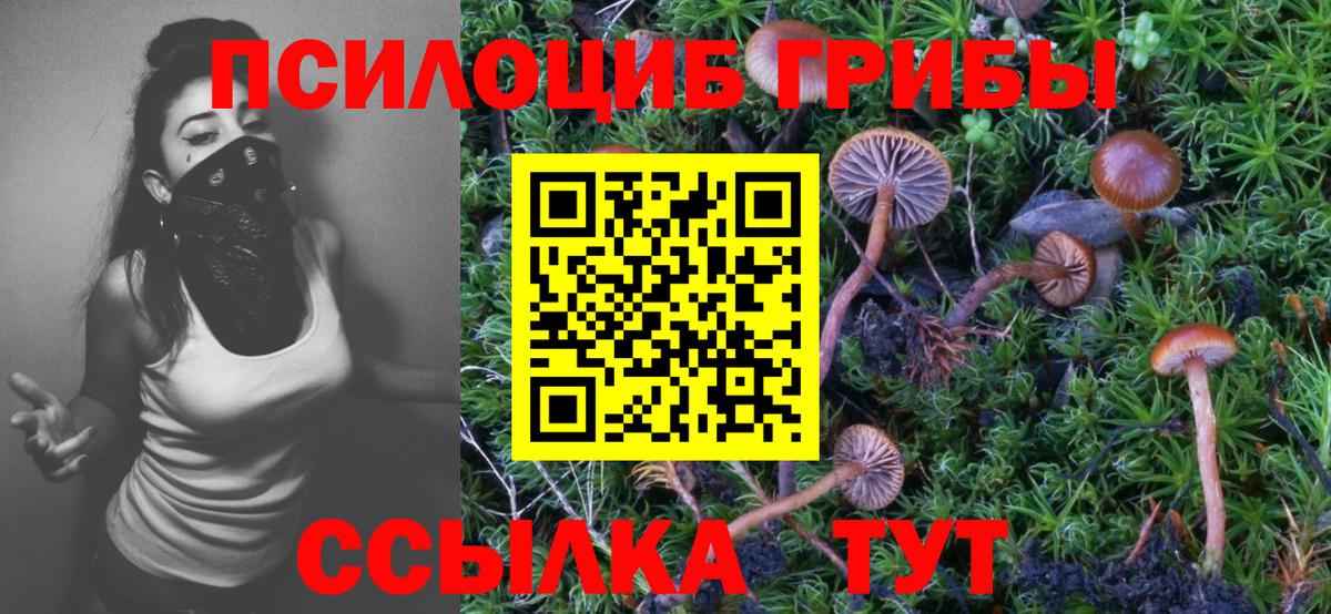 Галлюциногенные грибы MAGIC MUSHROOMS  Вход с VPN  где продают   Апатиты 